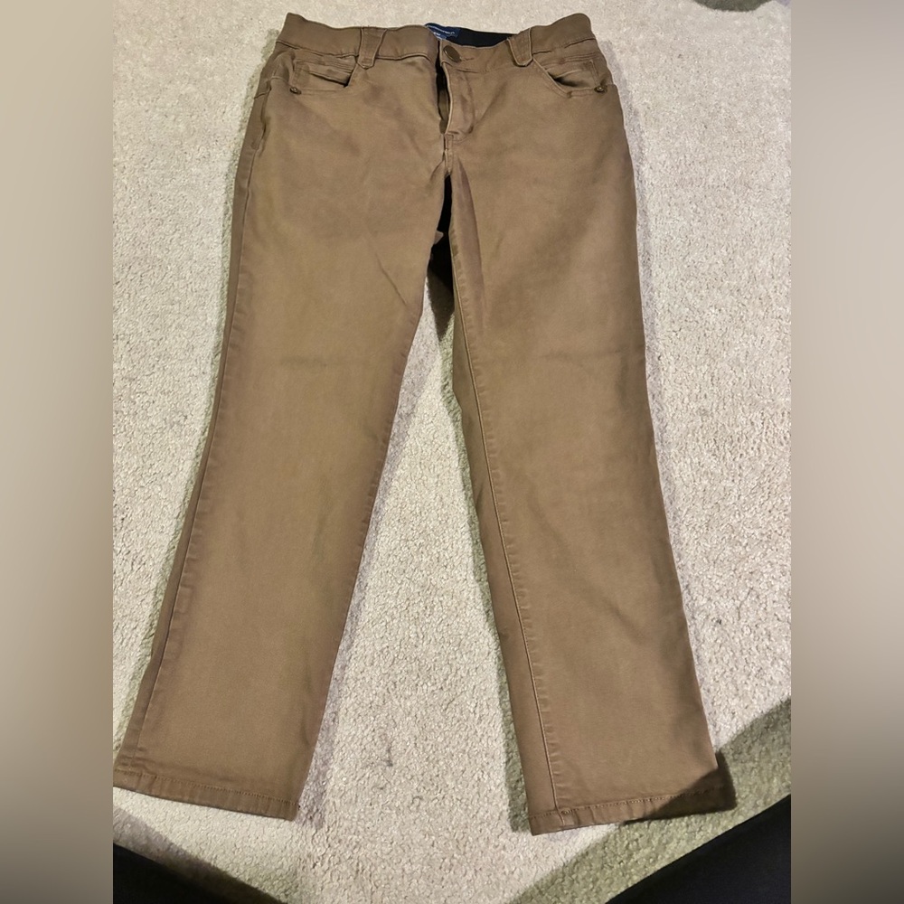 Democracy plants - size 14W